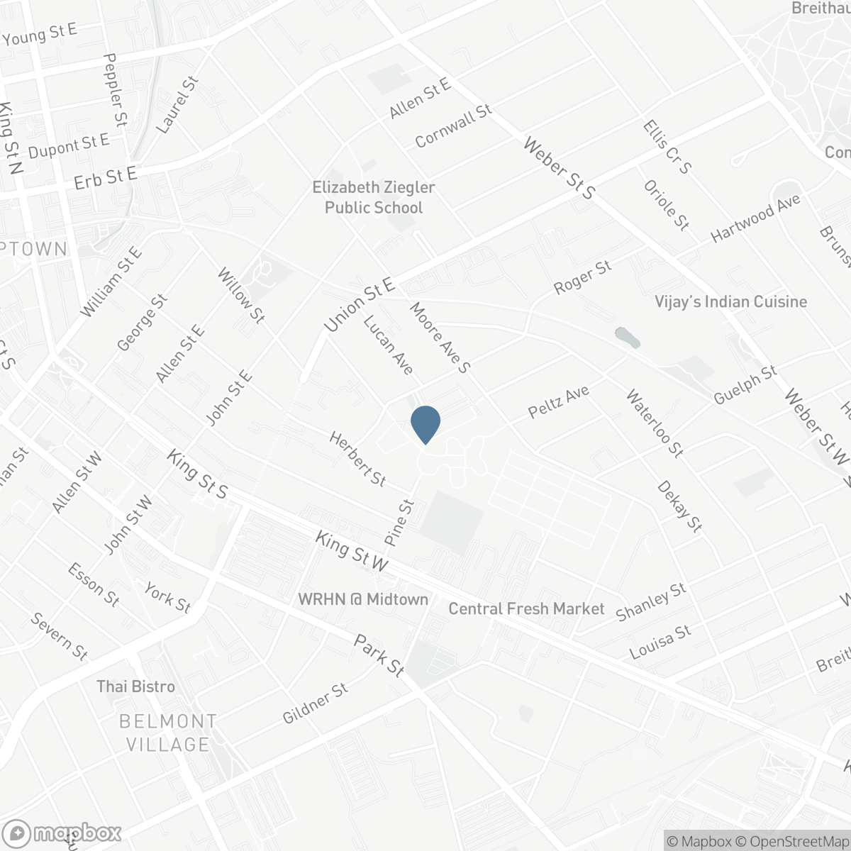 313 - 103 ROGER STREET, Kitchener, Ontario N2J 0G2